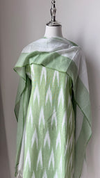Pastel Green Ikkat cotton kurta set
