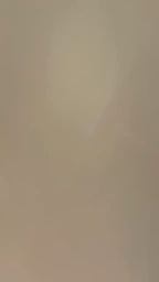 Soft Ivory Cream Premium Palazzo Set